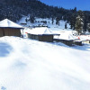 Отель Chopta Mount Holiday Camp & Resort, фото 17
