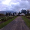 Отель Lemberg Wine Estate, фото 16