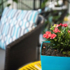 Отель The Wellington Bed & Breakfast, фото 11