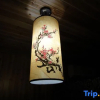 Отель Wuzhen Yunhe Shui'an Minsu, фото 1