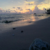 Отель Blue Sky Beach Resort, фото 12
