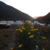 Отель Camp Nirvana Yamunotri, фото 3