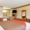 Отель Freer Executive Inn and Studios, фото 15