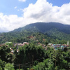 Отель Todo Itanagar, фото 13