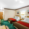 Отель Comfort Inn Camp Verde I-17, фото 7