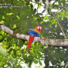 Отель Natuga EcoLodge-Villas Dominical Baru, фото 18