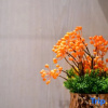 Отель Wenxu Hotel, фото 6