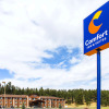 Отель Comfort Inn And Suites Custer, фото 21