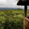 Отель Royal Thonga Safari Lodge, фото 20