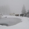 Отель La Ferme des Vonezins, фото 18