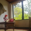 Отель Ruwa River Herbal Clinic & All-Inclusive Oasis Spa Resort, фото 44