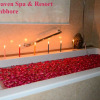 Отель Tiger Heaven Spa & Resorts Ranthambhore, фото 11