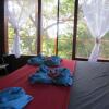 Отель Turtle Bay Eco Resort, фото 1