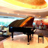 Отель HNA New World Hotel Danzhou, фото 8