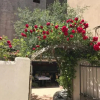 Отель Locanda Alla Frasca, фото 21