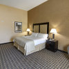 Отель Holiday Inn Arlington NE-Rangers Ballpark, an IHG Hotel, фото 26
