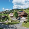 Отель Serene Apartment in Todtnauberg with terrace, фото 24