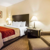 Отель Comfort Inn Near Grand Canyon, фото 3