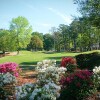 Отель Brunswick Plantation Villa 1203 With Full Kitchen, Golf Course Onsite, and Short Drive to the Beach , фото 5