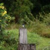 Отель Kingfishers Manor, фото 36