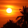 Отель Nahualli Hostel Tamarindo, фото 10