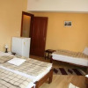 Отель Pensiunea Tulipan, фото 3