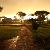 Отель OUT OF Nature Country Lodge, фото 19