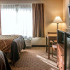 Отель Quality Inn Near Interstate I94, фото 3