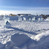 Отель Buffalo Nights Bed and Breakfast, фото 8