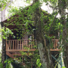 Отель Tree Houses Hotel Costa Rica, фото 44