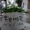 Отель Changsha Chuyu Youth Inn, фото 1
