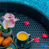 Отель WeiShe Boutique Homestay, фото 4