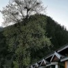 Отель Keran Retreat, фото 1