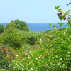 Отель Studio in Marigot, With Wonderful sea View, Enclosed Garden and Wifi, фото 11