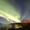Отель Senja Arctic Lodge AS, фото 20