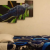 Отель Hostal Casa del Loro - Hostel, фото 5