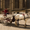 Отель Pension Neuer Markt, фото 17