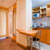 Отель Blue Tree Towers All Suites Santo Andre, фото 42