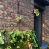 Отель Comfortable Home Youth Homestay, фото 5