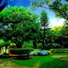 Отель Corbett Wild Resort - A River Access Property, фото 35