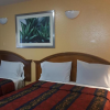 Отель Flamingo Inn Long Beach, фото 14