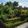 Отель Witch's  broomstick Hotel, фото 13