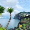 Отель Ocean Cliff Apartment, фото 11
