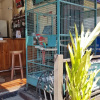 Отель Pirates Cove Bar and Restauant, фото 29