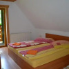 Отель Pensiunea Ioana, фото 2