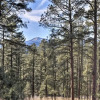 Отель Massive 7-acre Ruidoso Home w/ Sierra Blanca Views, фото 19