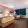 Отель Royal Inn Clearfield, фото 23