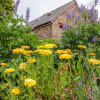 Отель Rodley Manor Cottage, Bloemuns, фото 13