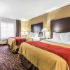 Отель Comfort Inn, фото 14