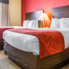 Отель Comfort Suites Rock Hill Manchester Meadows Area, фото 7
